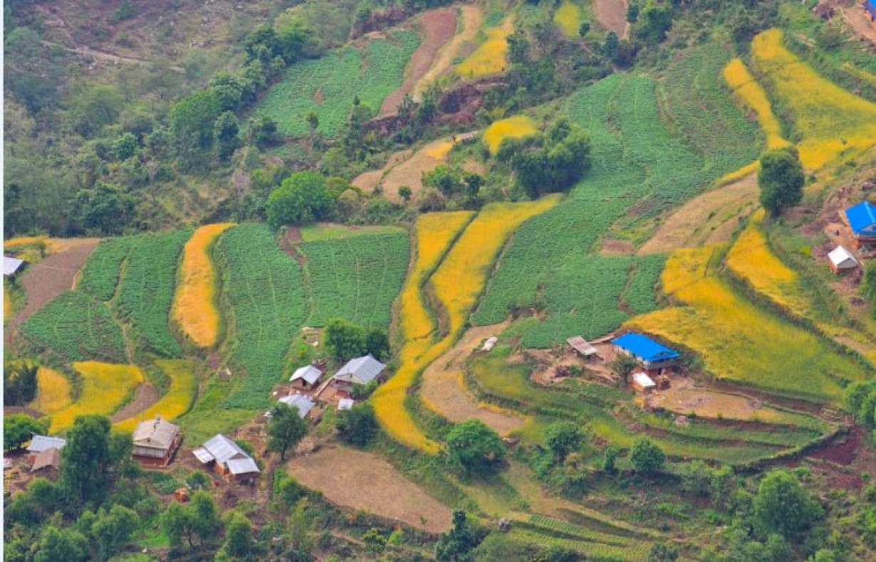 post